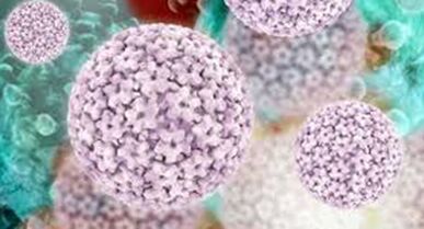 papiloma virus